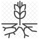 Dry crops  Icon