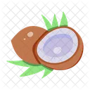 Dry Fruit  Icon