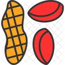 Dry Fruits  Icon