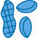 Dry Fruits  Icon