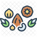 Dry Fruits  Icon