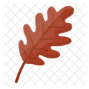 Dry leaf  Icon