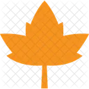 Dry Leaf  Icon