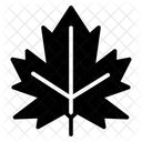Dry Leaf  Icon