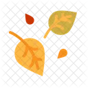 Dry Leaves  Icon