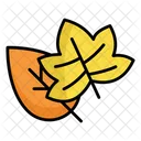 Dry Leaves Autumn Fall Icon