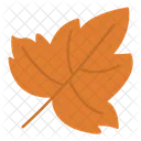 Dry Leaves Icon