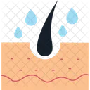 Dry skin  Icon