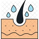 Dry skin  Icon