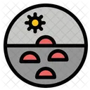 Dry Skin  Icon