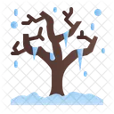 Dry Tree Tree Nature Icon