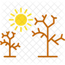Dry Tree Dry Tree Icon