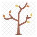Dry Tree Autumn Tree Icon