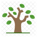 Tree Nature Dry Icon