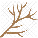 Tree Branch Dry Icon