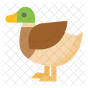Toy Animal Bird Icon