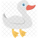Mallard Duck Animal Icon
