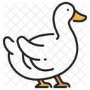Duck Bird Water Bird Icon