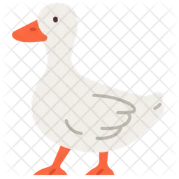 Duck  Icon