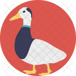 Duck  Icon