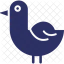 Duck  Icon