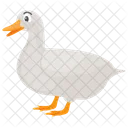 Duck Bird Farm Duck Icon