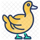 Animal Duck Swan Icon
