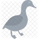 Duck Shower Duck Toy Duck Icon