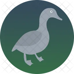 Duck  Icon