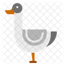 Duck Bird Isolated Icon