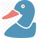 Duck Goose Domestic Fowl Icon