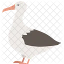 Duck Animal Wild Icon