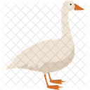Duck  Icône