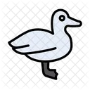 Duck Swim Bird Icon