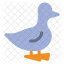 Duck Farm Hen Icon