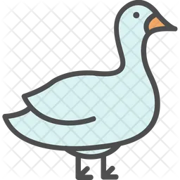 Duck  Icon