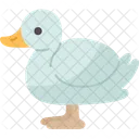 Duck Waterfowl Poultry Icon