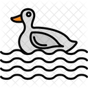 Duck Animals Bird Icon