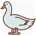 Duck Bird Duck Food Icon