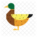 Duck Kid Play Icon
