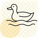 Duck By Pond Duck Pond Icon