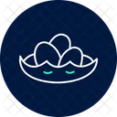 Duck eggs nest  Icon