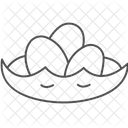 Duck Eggs Nest Duck Eggs Icon