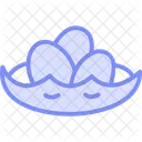 Duck Eggs Nest Duck Eggs Icon