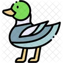 Duck  Icon