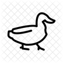 Duck  Icon