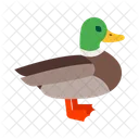 Duck Toy Animal Icon