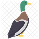 Duck  Icon