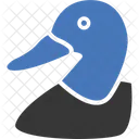 Duck  Icon