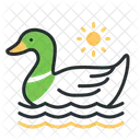 Duck  Icon